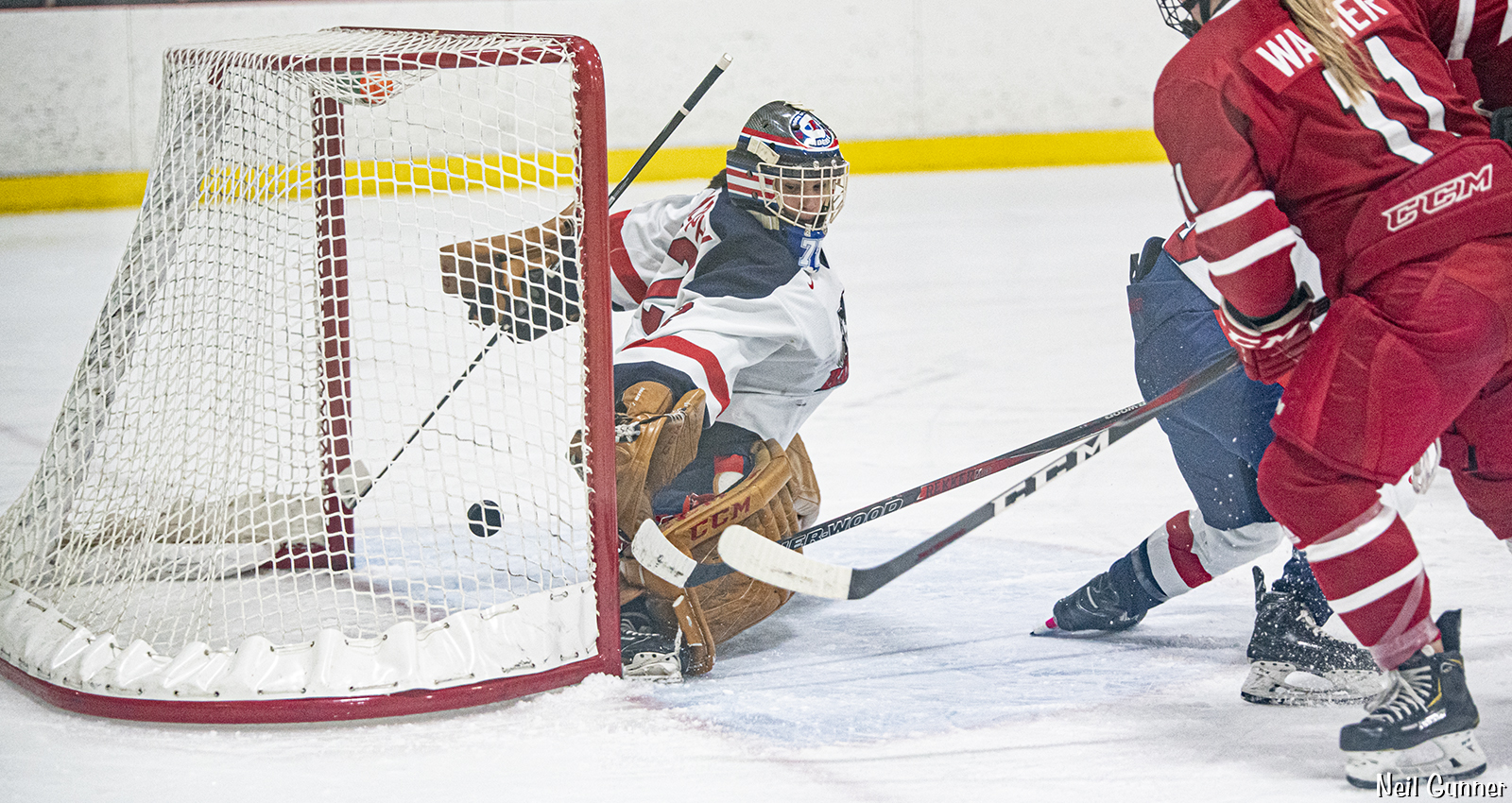 Home Page hero image 3: York Lions hockey scores a goal