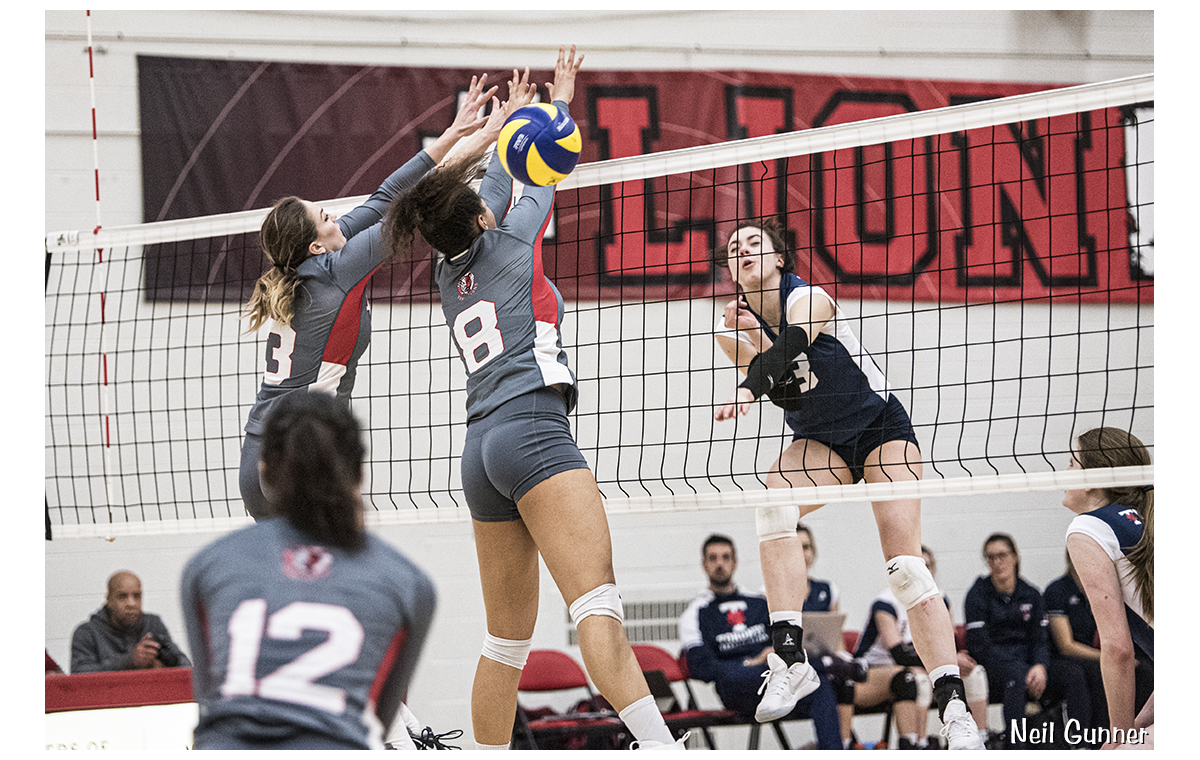 Top 20 Sports Image 11: volleyball slam