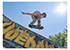 Skateboarders thumbnail 4